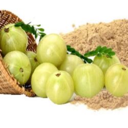 <br>Amla Powder <br> (நெல்லிக்காய் பொடி)