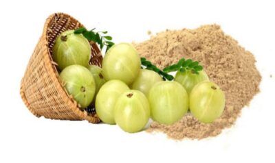 <br>Amla Powder <br> (நெல்லிக்காய் பொடி)