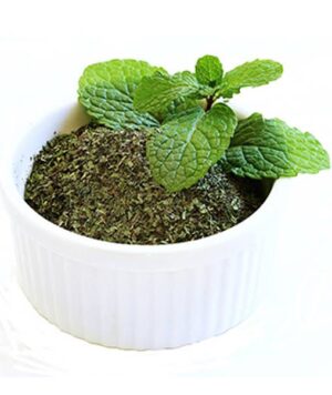 Mint Idly / Rice Mix  <br> (புதினா இட்லி/சாதப்பொடி)