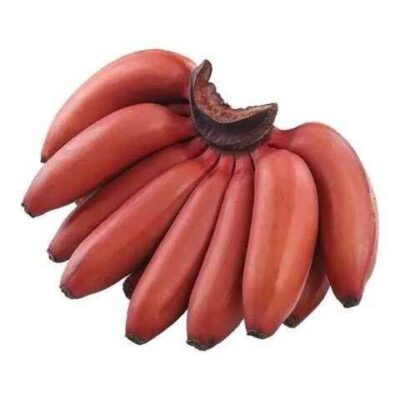 Red Banana Malt <Br> (செவ்வாழை மால்ட் )